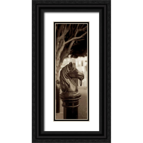 Hitching Post Pano - 2 Black Ornate Wood Framed Art Print with Double Matting by Blaustein, Alan
