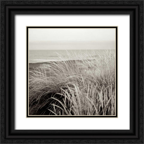 Tuscan Coast Dunes - 2 Black Ornate Wood Framed Art Print with Double Matting by Blaustein, Alan