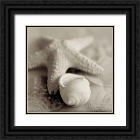 Crystal Harbor - 17 Black Ornate Wood Framed Art Print with Double Matting by Blaustein, Alan