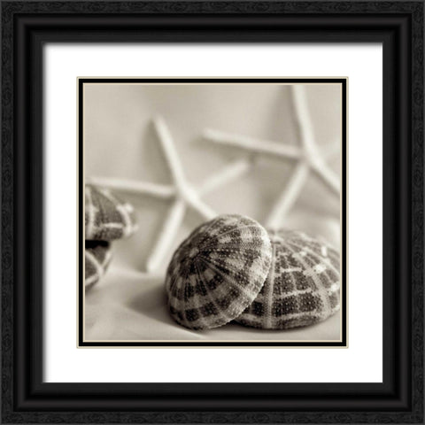 Crystal Harbor - 20 Black Ornate Wood Framed Art Print with Double Matting by Blaustein, Alan