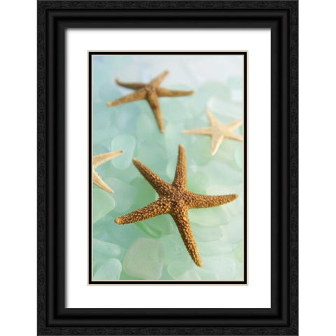 Crystal Cove - 30 Black Ornate Wood Framed Art Print with Double Matting by Blaustein, Alan
