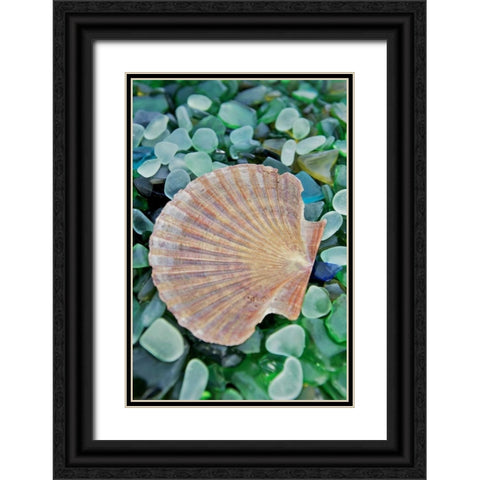 Crystal Cove - 25 Black Ornate Wood Framed Art Print with Double Matting by Blaustein, Alan