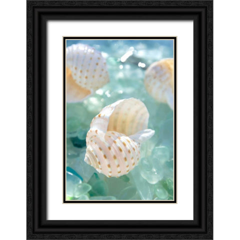Crystal Harbor - 6 Black Ornate Wood Framed Art Print with Double Matting by Blaustein, Alan