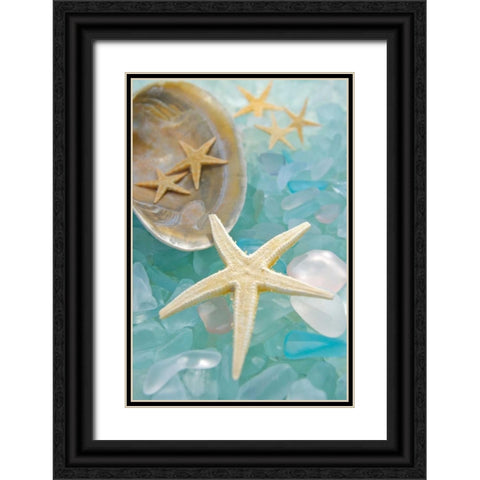 Crystal Harbor - 2 Black Ornate Wood Framed Art Print with Double Matting by Blaustein, Alan