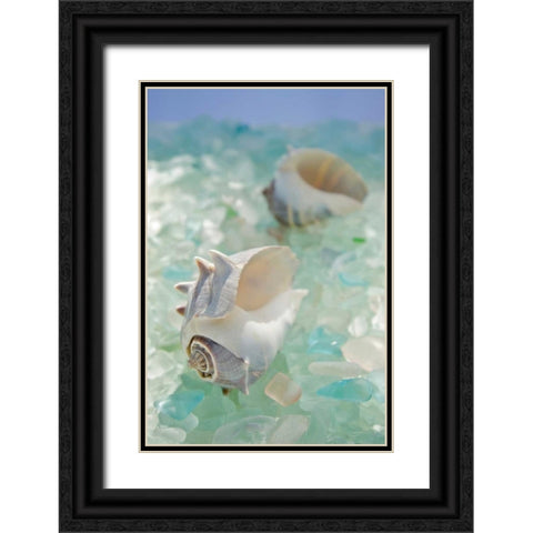 Crystal Harbor - 1 Black Ornate Wood Framed Art Print with Double Matting by Blaustein, Alan