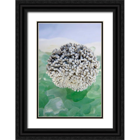 Crystal Harbor - 34 Black Ornate Wood Framed Art Print with Double Matting by Blaustein, Alan