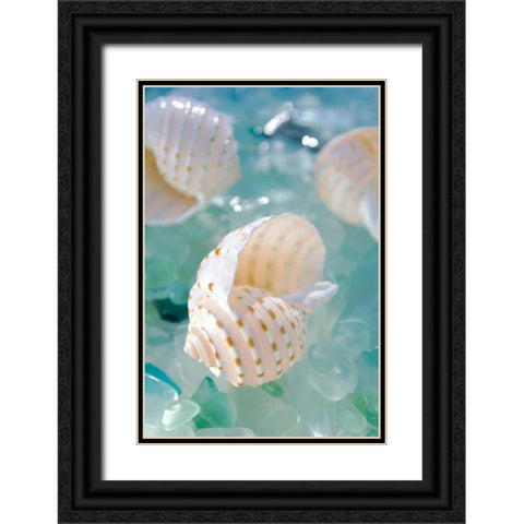 Crystal Cove - 24 Black Ornate Wood Framed Art Print with Double Matting by Blaustein, Alan