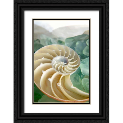 Crystal Cove - 27 Black Ornate Wood Framed Art Print with Double Matting by Blaustein, Alan