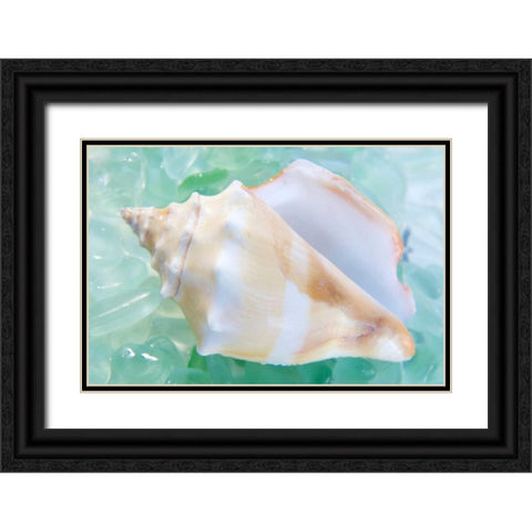 Crystal Cove - 28 Black Ornate Wood Framed Art Print with Double Matting by Blaustein, Alan