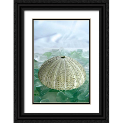 Crystal Harbor - 23 Black Ornate Wood Framed Art Print with Double Matting by Blaustein, Alan