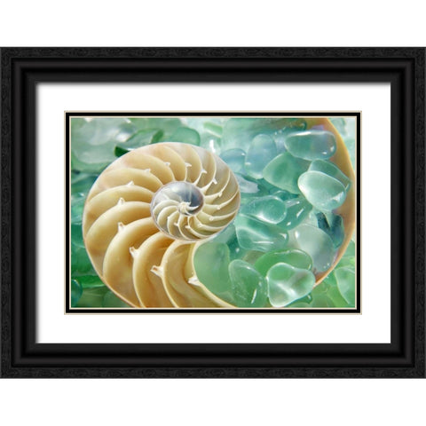 Crystal Harbor - 26 Black Ornate Wood Framed Art Print with Double Matting by Blaustein, Alan