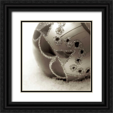 Holiday - 1 Black Ornate Wood Framed Art Print with Double Matting by Blaustein, Alan