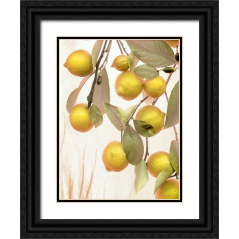 Lemons - 1 Black Ornate Wood Framed Art Print with Double Matting by Blaustein, Alan