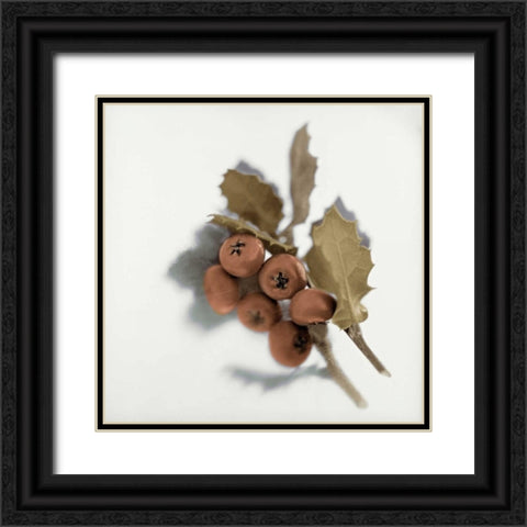 Holiday - 6 Black Ornate Wood Framed Art Print with Double Matting by Blaustein, Alan