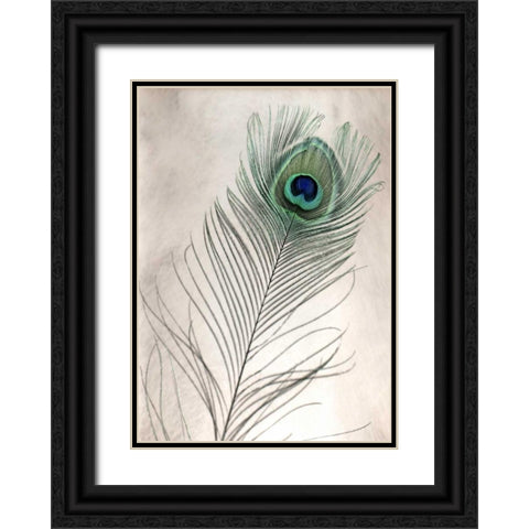 Feathers - 11 Black Ornate Wood Framed Art Print with Double Matting by Blaustein, Alan