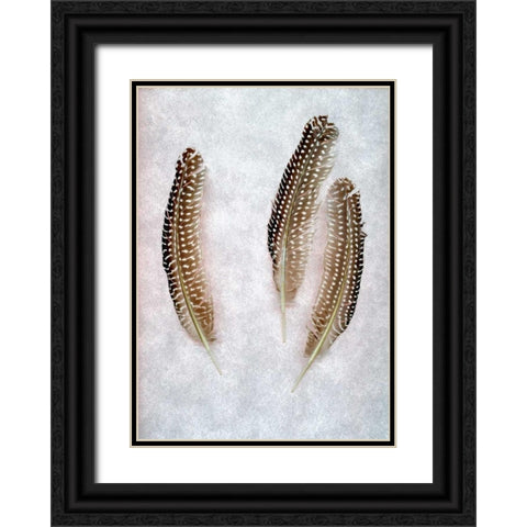 Feather - 2 Black Ornate Wood Framed Art Print with Double Matting by Blaustein, Alan