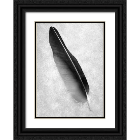 Feathers - 7 Black Ornate Wood Framed Art Print with Double Matting by Blaustein, Alan