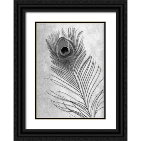 Feathers - 10 Black Ornate Wood Framed Art Print with Double Matting by Blaustein, Alan
