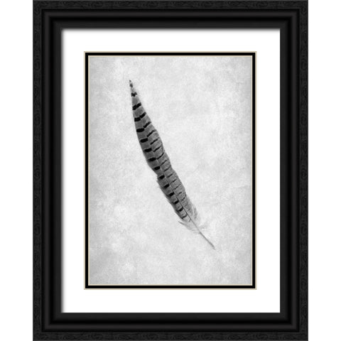 Feathers - 8 Black Ornate Wood Framed Art Print with Double Matting by Blaustein, Alan