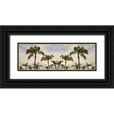 Palm Banner - 1 - Color Black Ornate Wood Framed Art Print with Double Matting by Blaustein, Alan