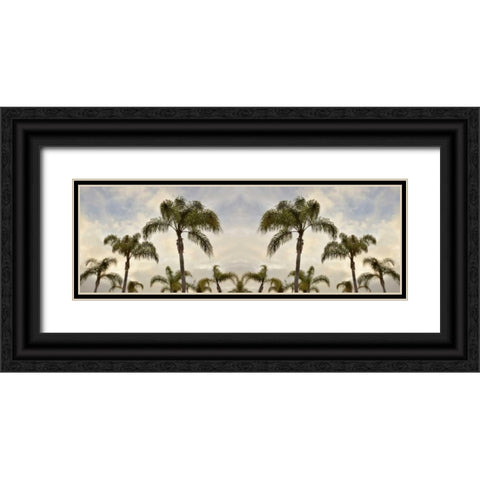 Palm Banner - 2 - Color Black Ornate Wood Framed Art Print with Double Matting by Blaustein, Alan