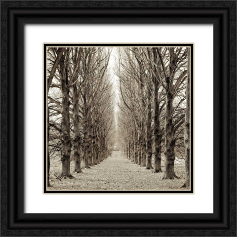 Hampton Gates Promenade - 3 Black Ornate Wood Framed Art Print with Double Matting by Blaustein, Alan