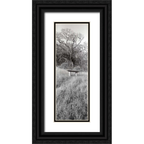 Novato Oak Black Ornate Wood Framed Art Print with Double Matting by Blaustein, Alan