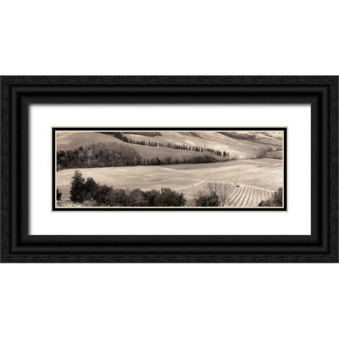 San Gimignano Italia Black Ornate Wood Framed Art Print with Double Matting by Blaustein, Alan