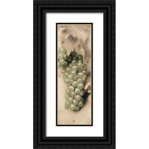 Pinot Blanc Black Ornate Wood Framed Art Print with Double Matting by Blaustein, Alan