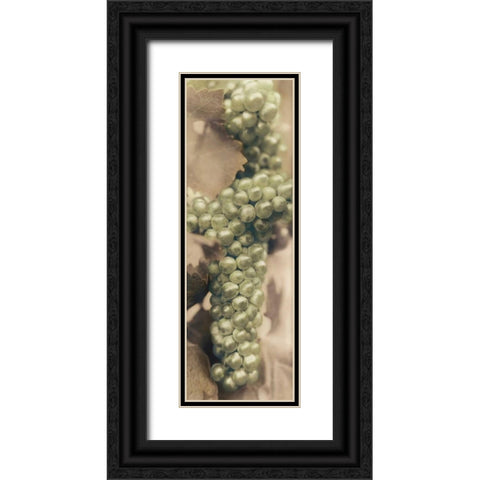 Chardonnay Black Ornate Wood Framed Art Print with Double Matting by Blaustein, Alan