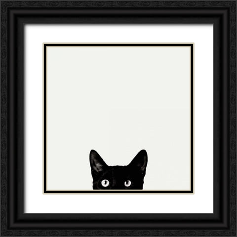 Curiosity Black Ornate Wood Framed Art Print with Double Matting by Bertelli, Jon