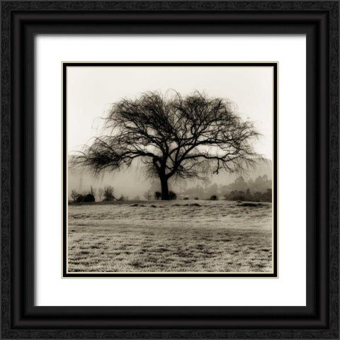 Willow Tree Black Ornate Wood Framed Art Print with Double Matting by Blaustein, Alan