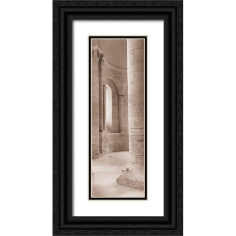 Les Colonnes I Black Ornate Wood Framed Art Print with Double Matting by Blaustein, Alan