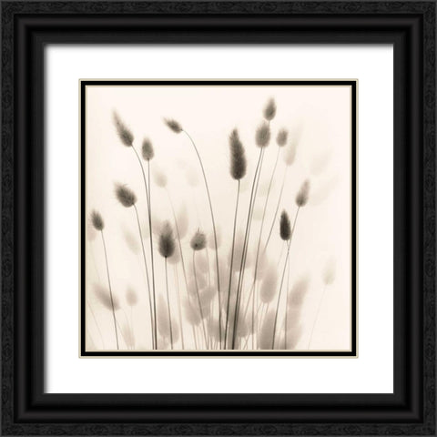 Italian Tall Grass No. 1 Black Ornate Wood Framed Art Print with Double Matting by Blaustein, Alan