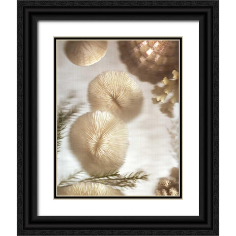 Nautical Illuminations No.2 Black Ornate Wood Framed Art Print with Double Matting by Blaustein, Alan