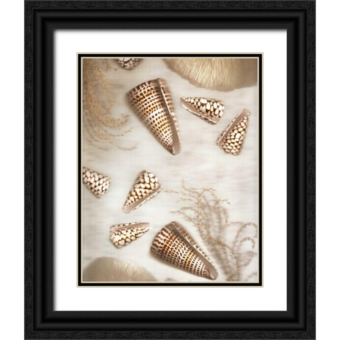 Nautical Illuminations No.4 Black Ornate Wood Framed Art Print with Double Matting by Blaustein, Alan
