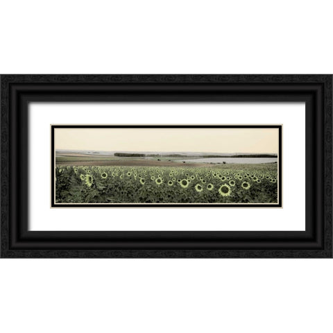 Andalusian Sun Flowers Black Ornate Wood Framed Art Print with Double Matting by Blaustein, Alan