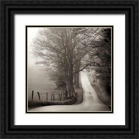 Cades Cove Black Ornate Wood Framed Art Print with Double Matting by Bell, Nicholas