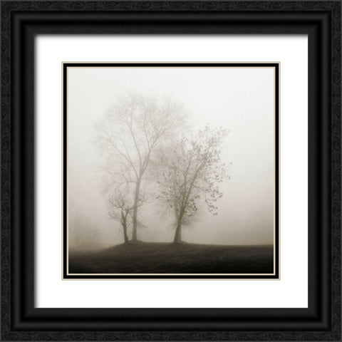 Four Trees in Fog Black Ornate Wood Framed Art Print with Double Matting by Bell, Nicholas