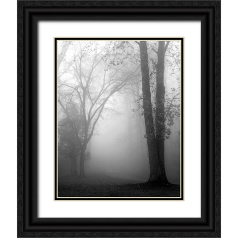 November Fog Black Ornate Wood Framed Art Print with Double Matting by Bell, Nicholas
