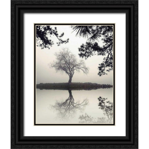 Winter Willow Black Ornate Wood Framed Art Print with Double Matting by Bell, Nicholas