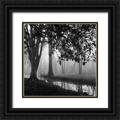 Woodland No. 1 Black Ornate Wood Framed Art Print with Double Matting by Bell, Nicholas