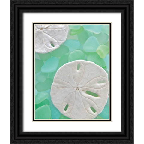 Seaglass 5 Black Ornate Wood Framed Art Print with Double Matting by Blaustein, Alan