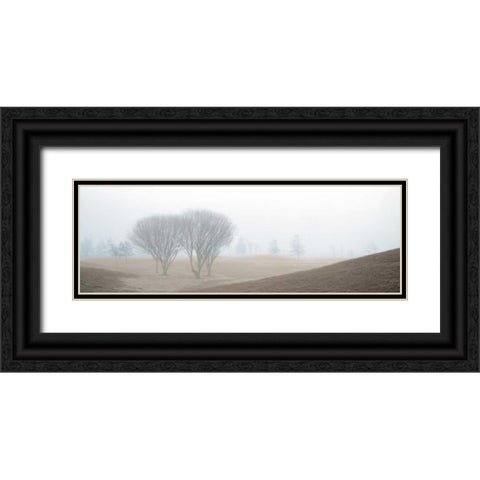 Coastal Trail Black Ornate Wood Framed Art Print with Double Matting by Blaustein, Alan