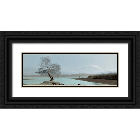 Lagoon Oak Tree Black Ornate Wood Framed Art Print with Double Matting by Blaustein, Alan