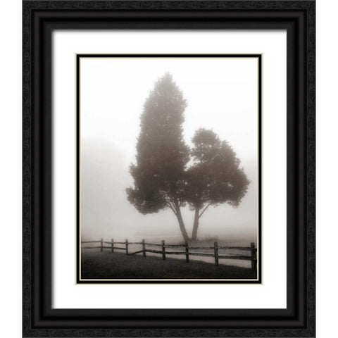 Cedar Tree and Fence Black Ornate Wood Framed Art Print with Double Matting by Bell, Nicholas