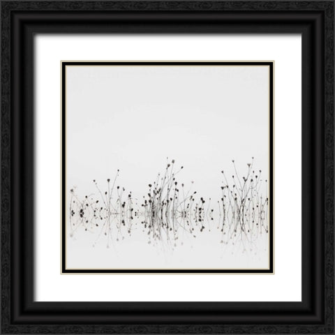 Reflections Black Ornate Wood Framed Art Print with Double Matting by Bell, Nicholas