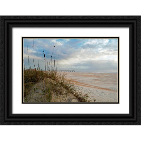 Sand Dunes I Black Ornate Wood Framed Art Print with Double Matting by Burdick, Chuck