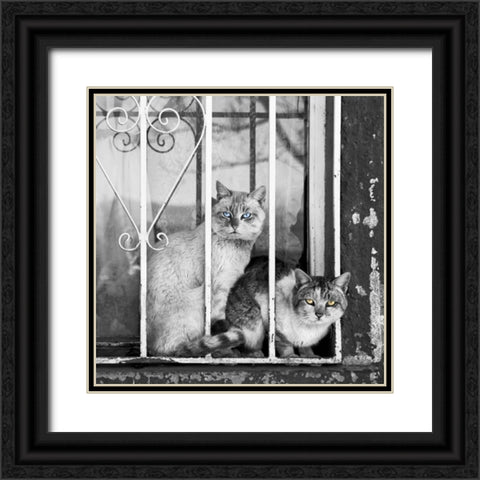 The Stare Black Ornate Wood Framed Art Print with Double Matting by Bertelli, Jon