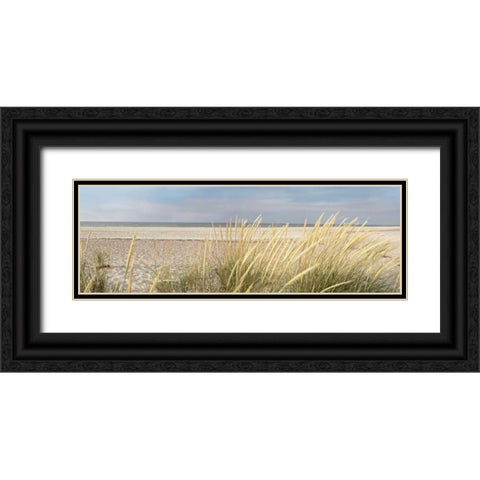 Island Sand Dunes Black Ornate Wood Framed Art Print with Double Matting by Blaustein, Alan